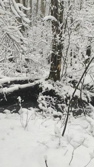 20 Апреля 2026