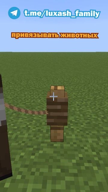 Эти механики майнкрафта ты не знал! #minecraft #shorts