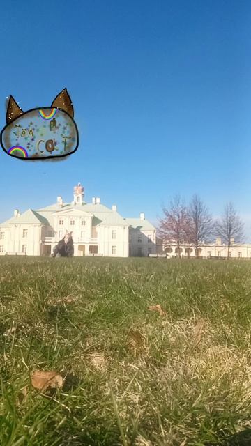 oooooooooooooooooooo