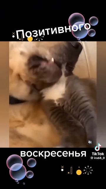 позитивного воскресенья