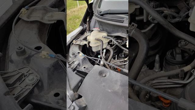 VID_20260421_182520.mp4