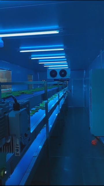 Haaschi Cake Machine 8618516640286 Steelbelt666@gmail.com