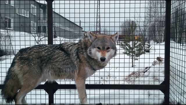 П. Коэльо. О страхе. Притча 53. Книга Воина Света
