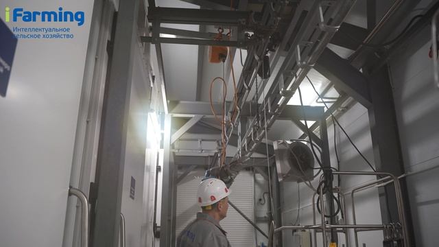 Контроль качества мяса. Хранение полутуш. Экспедиция.