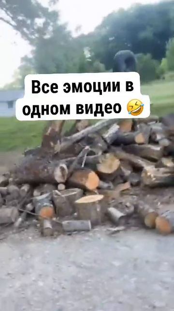 Video_2026-02-22_11-21-02