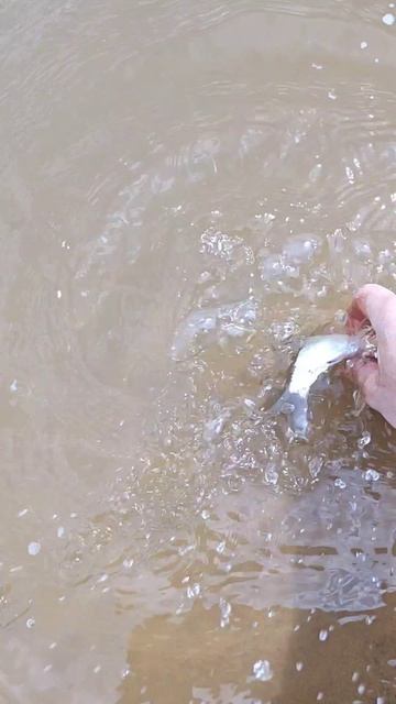 #рыбалка подпишитесь пожалуйста 🙏