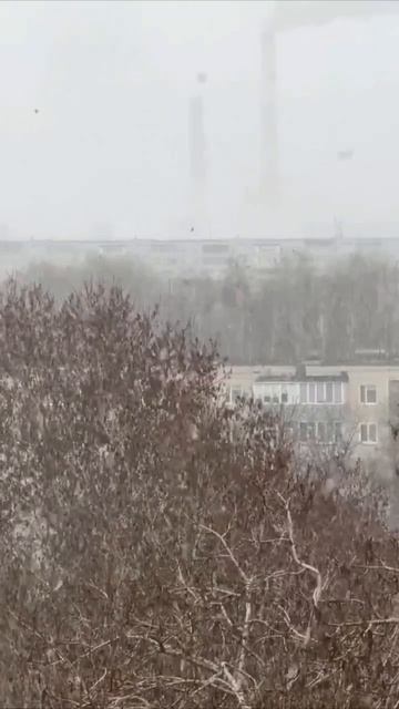 ❄️Сегодня в Ульяновске прошел снег