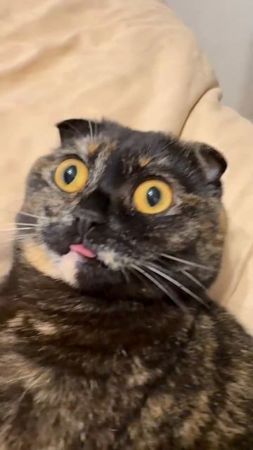 Задумалась