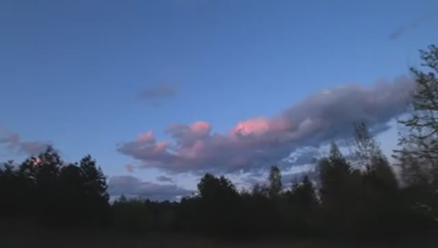 ОХОТА НА ВАЛЬДШНЕПА, ОТЛИЧНАЯ ТЯГА