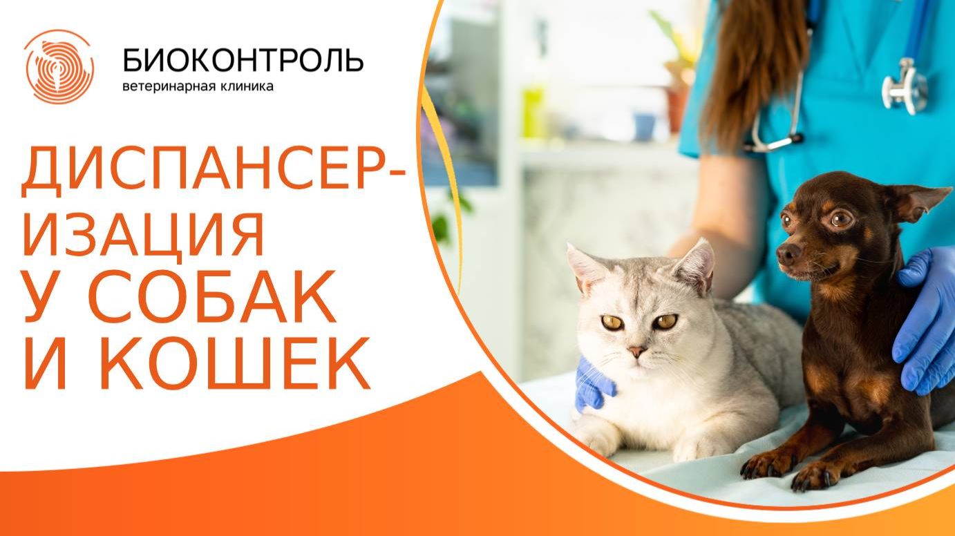Диспансеризация собак и кошек