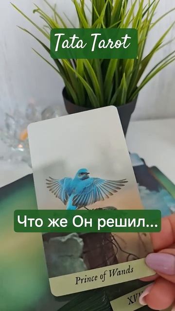 Что же Он решил 🔥 #таро #эзотерика #предсказание #tarot #онлайнтаро #онлайнтарогадание