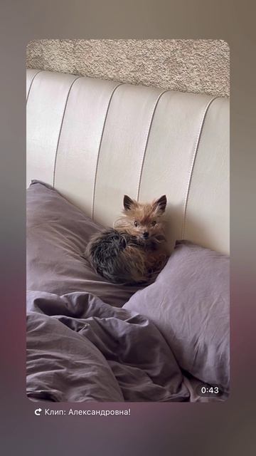 Мой сладкий мальчик!!! Все спит и спит !