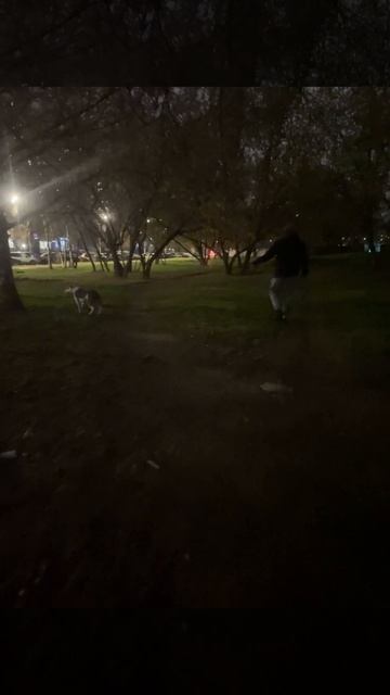 Рассел # Привет из дома