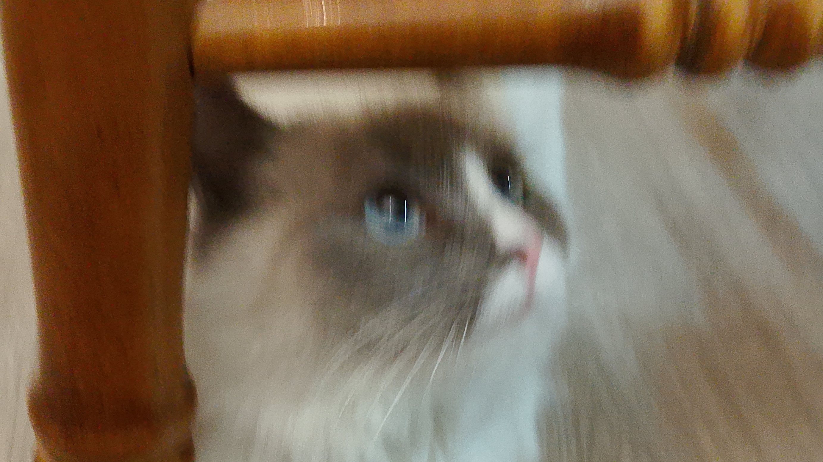 Сегодня во дворе