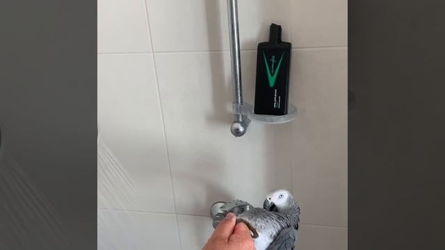 Когда купаться надо, но очень не хочется