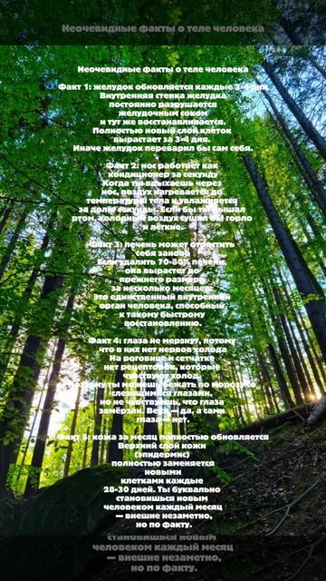 Факы о теле человека которые ты точно не знал!