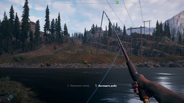 Вырезать_1 776 774 732 233