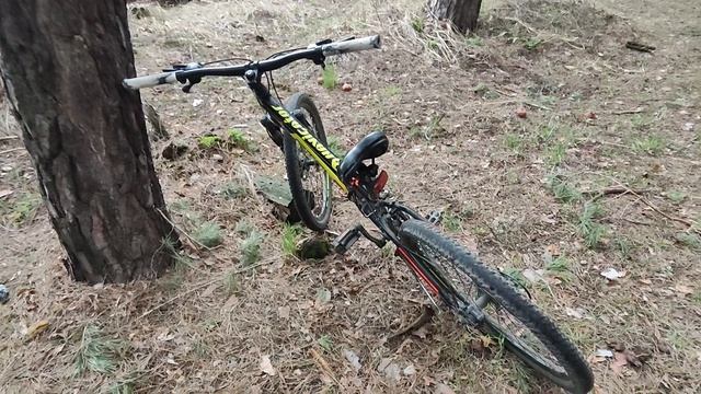 Эдит скоро стант58