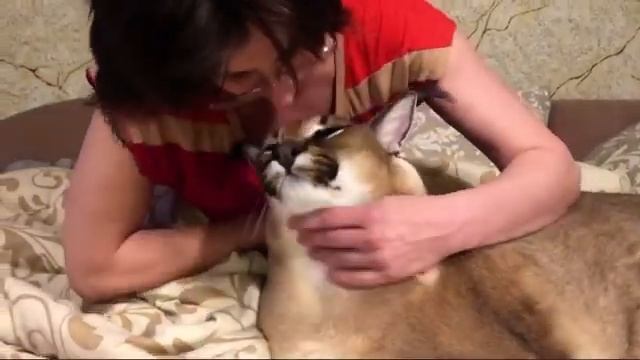 Грегори получает любовь.