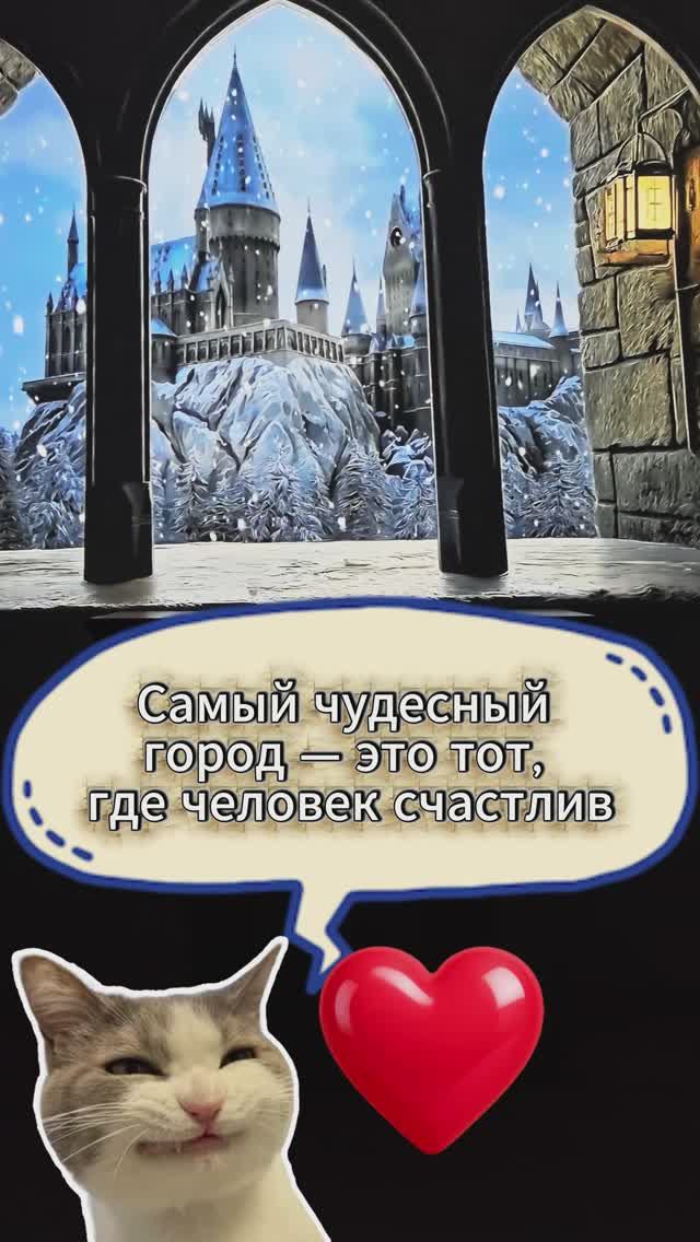 Вид из окна замка ✨️👀🏰😻♥️♥️♥️👀✨️ #projection #hogwarts #harrypotter