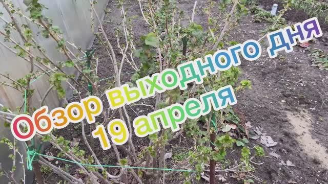 Обзор выходного дня 19 апреля