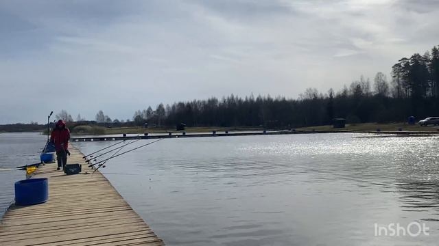 Запуск форели