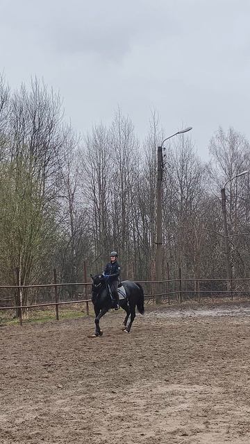 Оксана Новикова и Дольче Вита, принимание на рыси на плацу пасмурным днем.