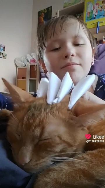 У меня есть кот персик и он теперь новый мой кот прошлый год он потерялся ну короче его кто то забра