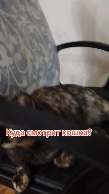 Внимание вопрос