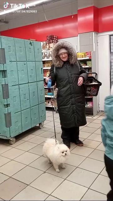 13259.mp4 Елена Дружиненко Воркута