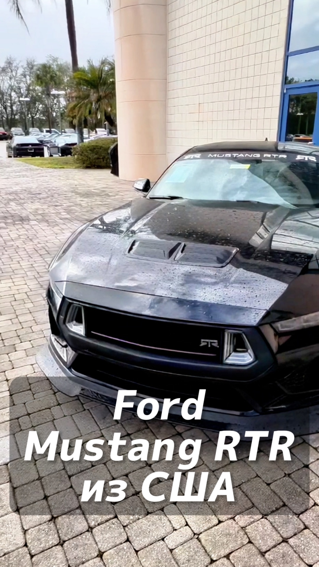 Ford Mustang RTR на заказ из США