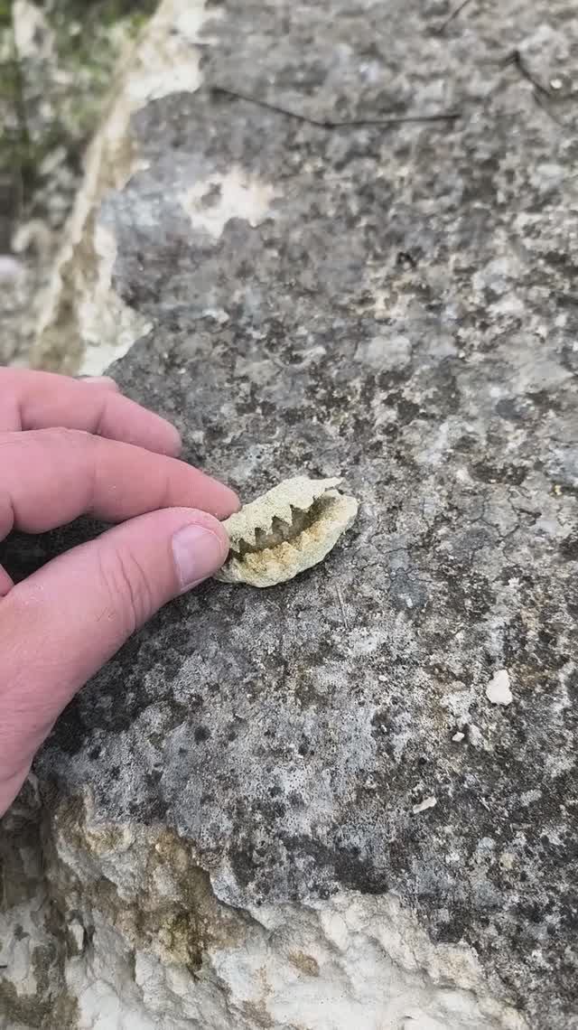 F7c4e34401f9dab2efe92dbccdb61005