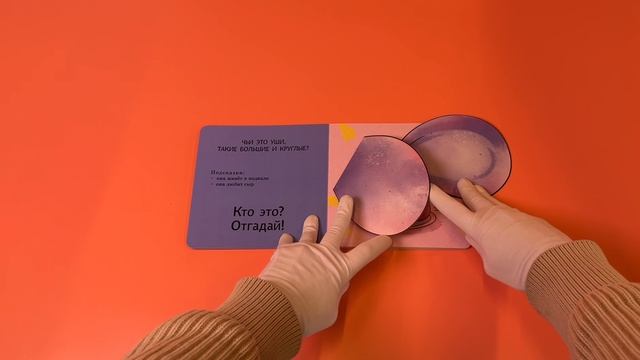 Интерактивные загадки. Кто здесь прячется? (летучая мышь)