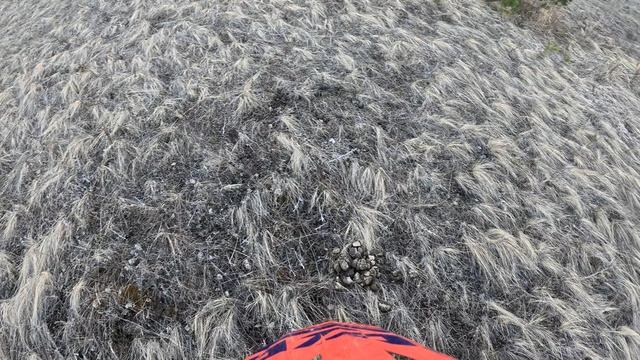 Нурали апрель 2026