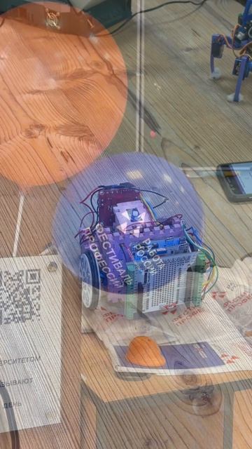 Найти работу мечты: Всероссийская ярмарка трудоустройства в НВГУ