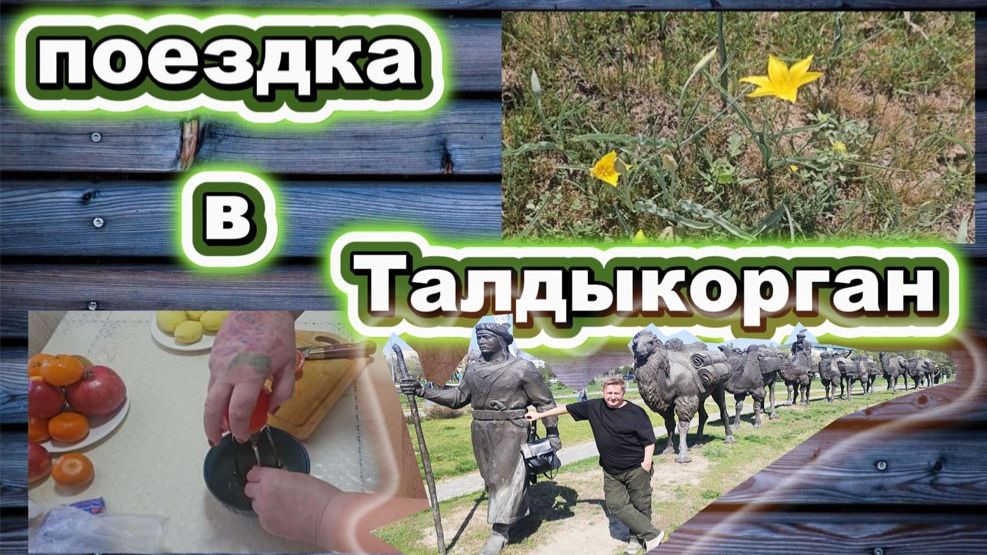 🇰🇿 КАЗАХСТАН 47-26! КАПЕЛЬНЫЙ ПОЛИВ/УЕХАЛИ НА ИВОВЫЙ ХОЛМ -ТАЛДЫКОРГАН/НОВАЯ ШТУЧКА/КАРАВАН 🐫