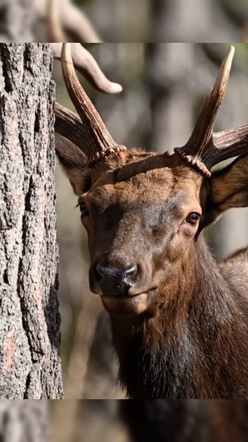 2ad67d0b47c1447fa201351363cc0efb