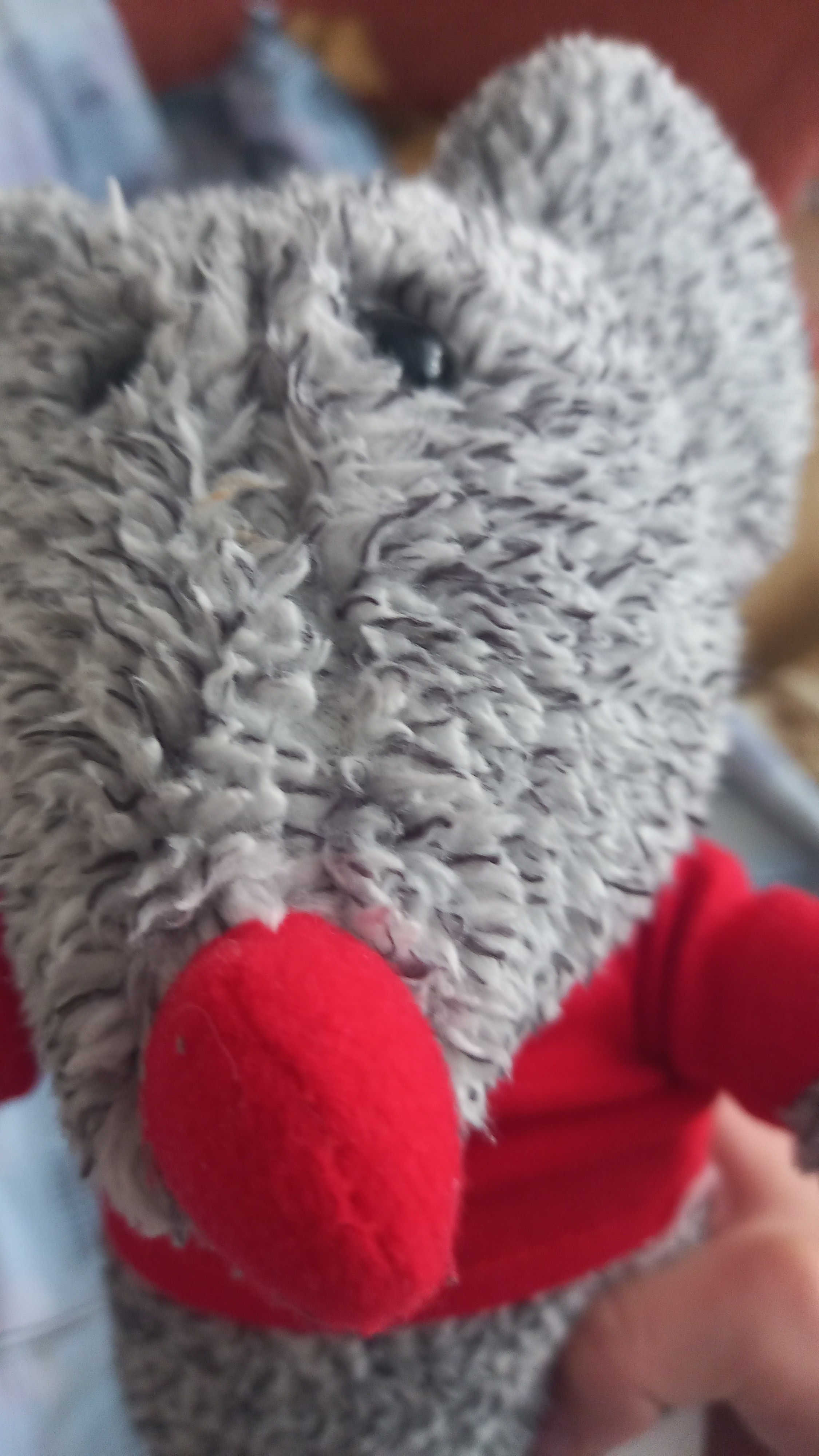 мышь взбесилась