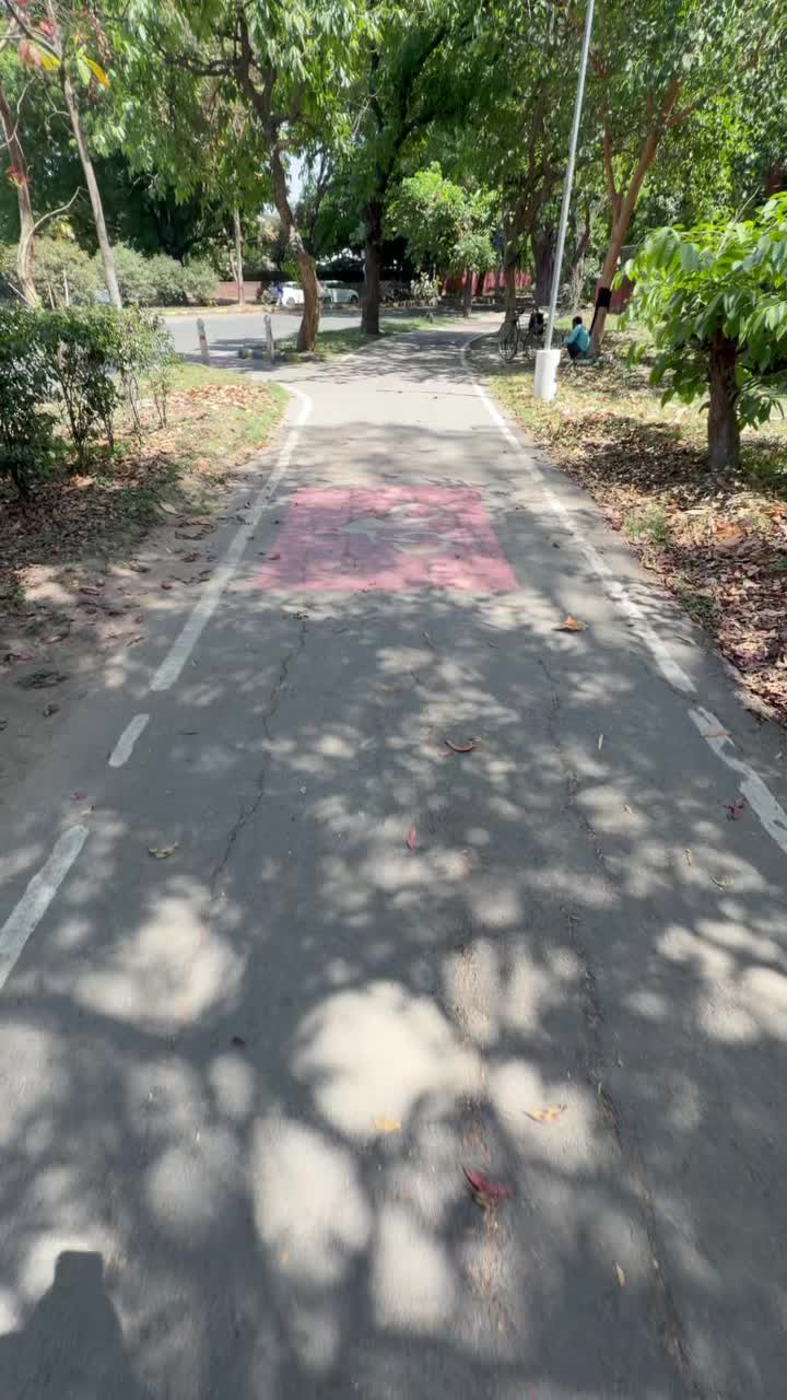 Велодорожки в Индии!