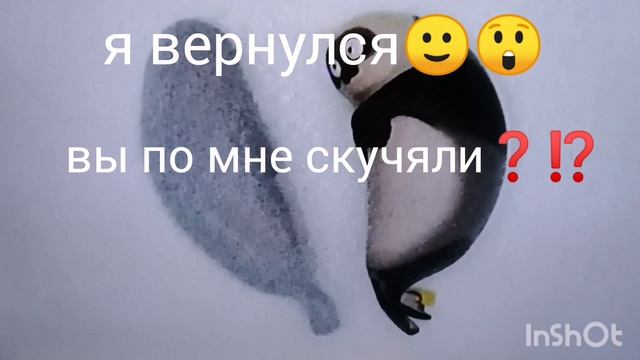 я вернулся