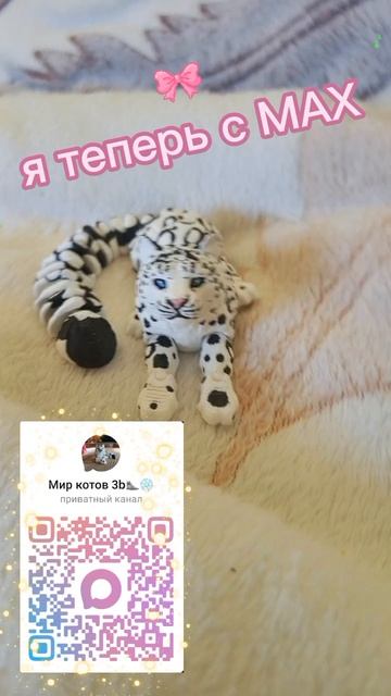 Я ТЕПЕРЬ В МАХ УРААААА❄❄❄