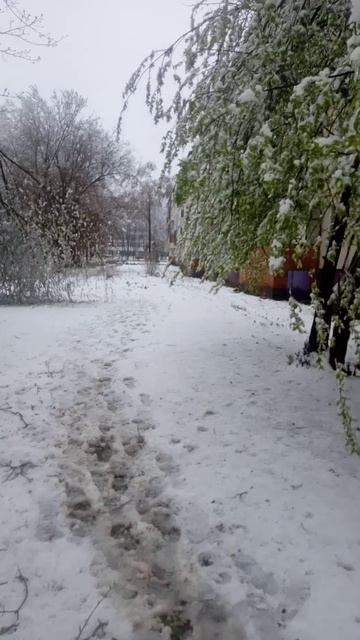 снег весной 21 апреля