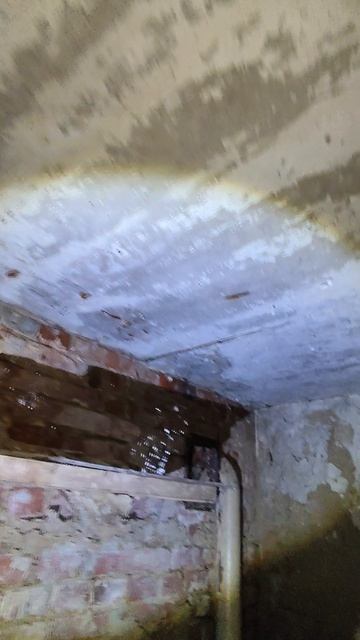 гараж шаландина