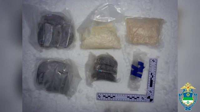 Полиция Коми с поличным задержала наркосбытчика и вскрыла сеть оборудованных им закладок в Воркуте