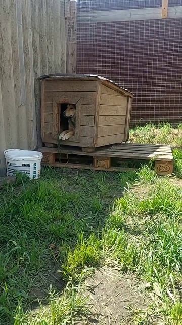 20 апреля 2026 г.