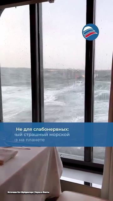 Не для слабонервных: самый страшный морской круиз на планете