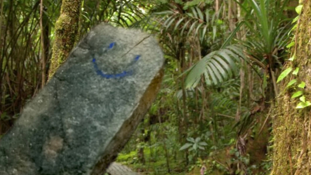 путешествие камня Вити