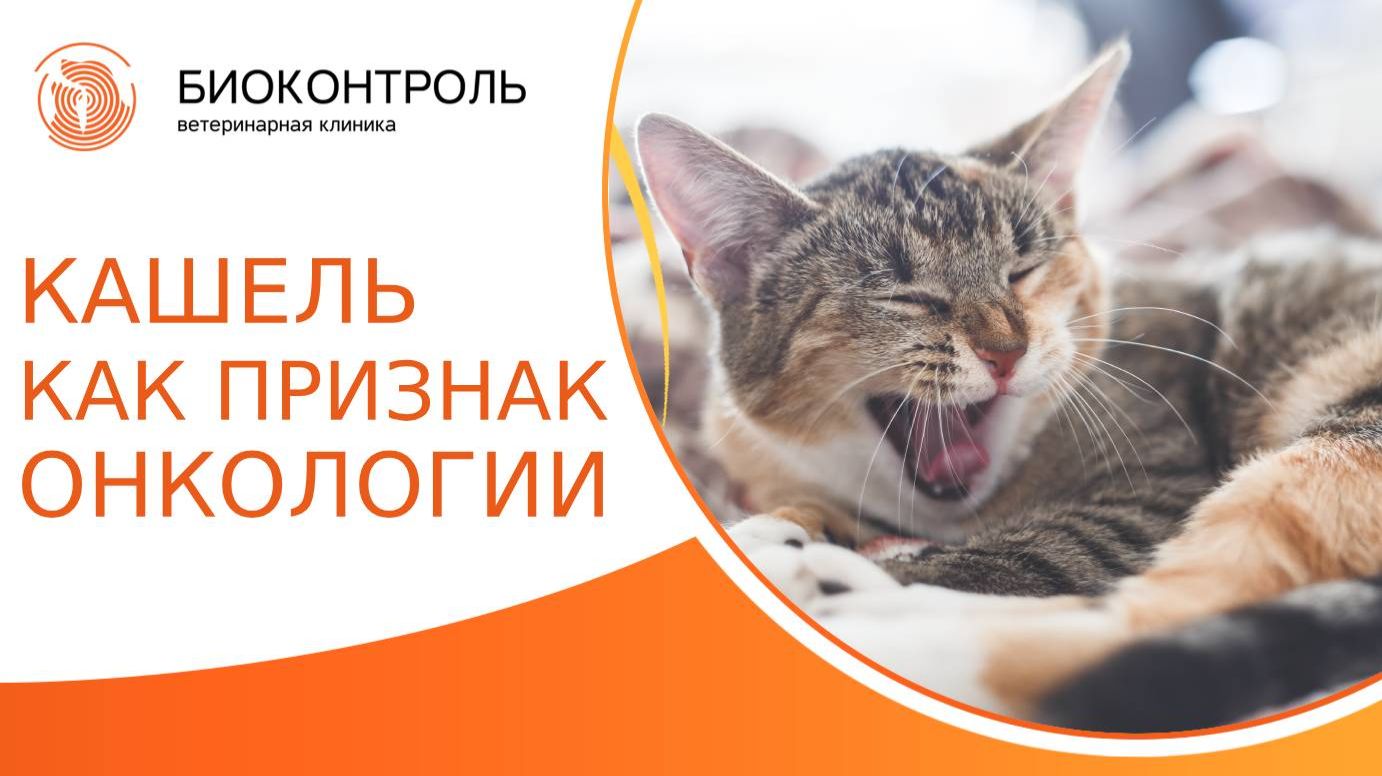 Кашель как признак онкологического заболевания