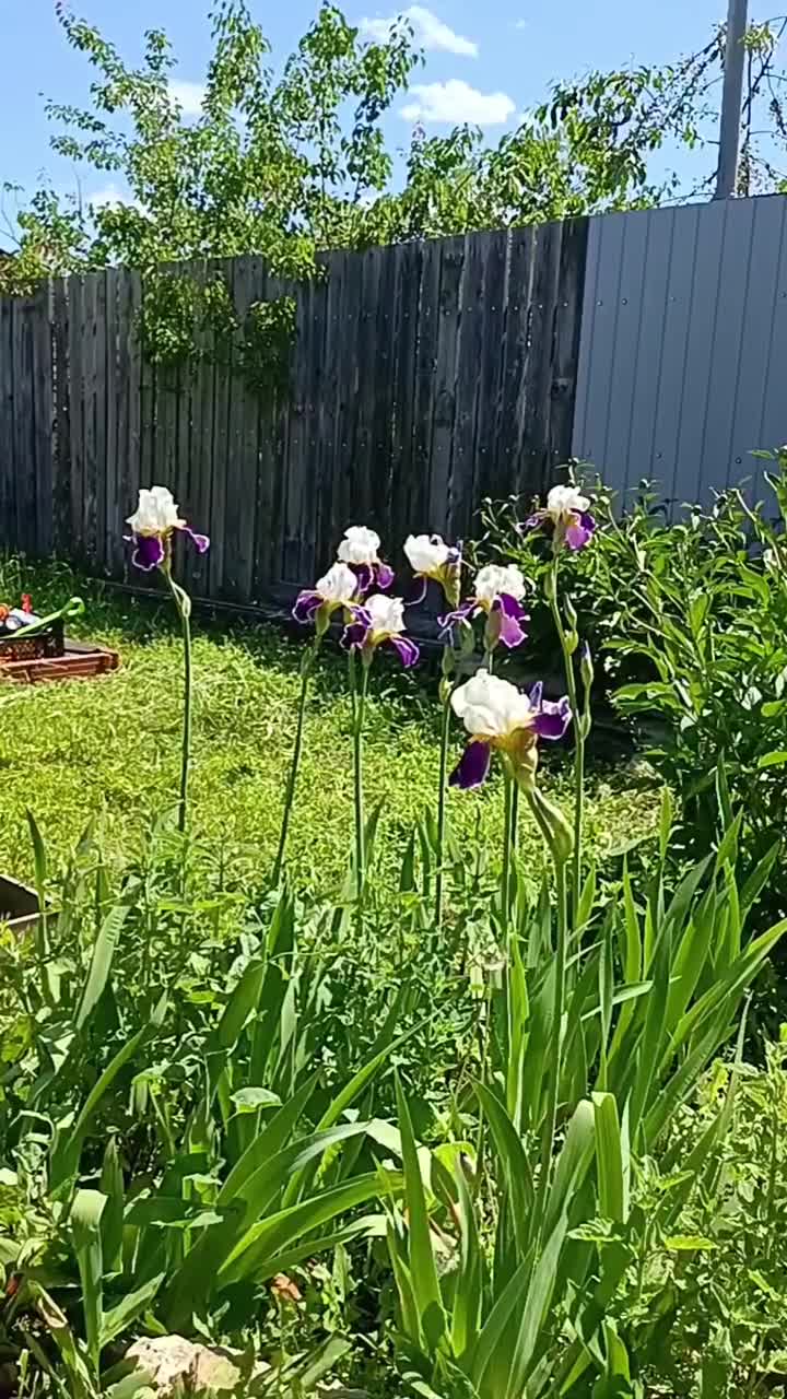 AQMthq5Hzz_IyAYhdjSoRwZip9tCeRPf7wglD7nDw_ow_RAk1VN1JMTBz5fQZTJ.mp4