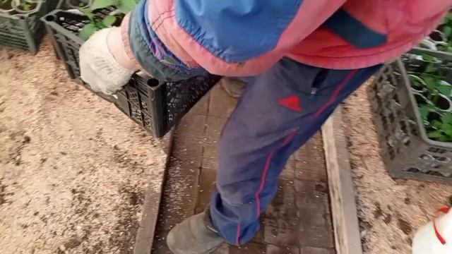 дела домашние 21 апреля